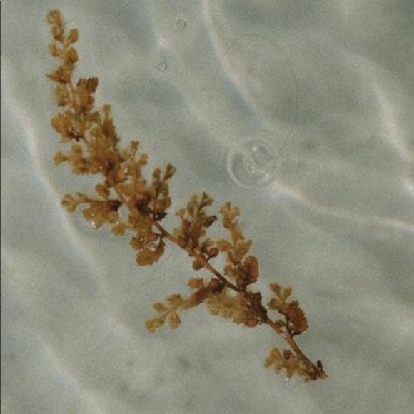 Meet your Posher, Becky - Picture 1 of 1